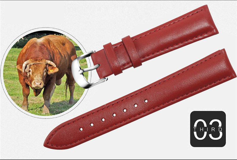 Leather Watchband Men Women Watch Band 22mm 20mm 18mm 16mm 14mm 12mm Wrist Watch Strap On Belt Watchbands Bracelet Metal Buckle