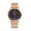 Rose Gold Sliver Mesh Stainless Steel Dail Watches Women Top Brand Luxury Casual Clock Top  Ladies Wrist Watch woman watches  Band width